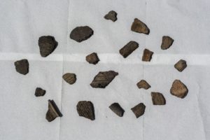 Fragmenty ceramiki odkryte na półwyspie Sulibórz