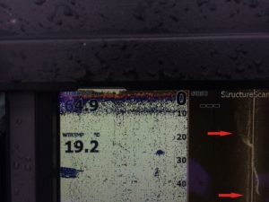 WĄŻ MORSKI. Obraz sonarowy wykonany latem 2017 roku na jeziorze Drawsko podczas poszukiwań U-boota