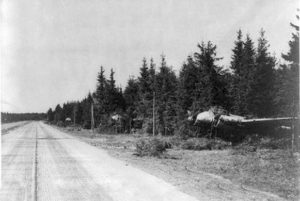 Niemiecki-ciężki-myśliwiec-Junkers-Ju-88-zamaskowany-w-pobliżu-DOL-wiosną-1945-r